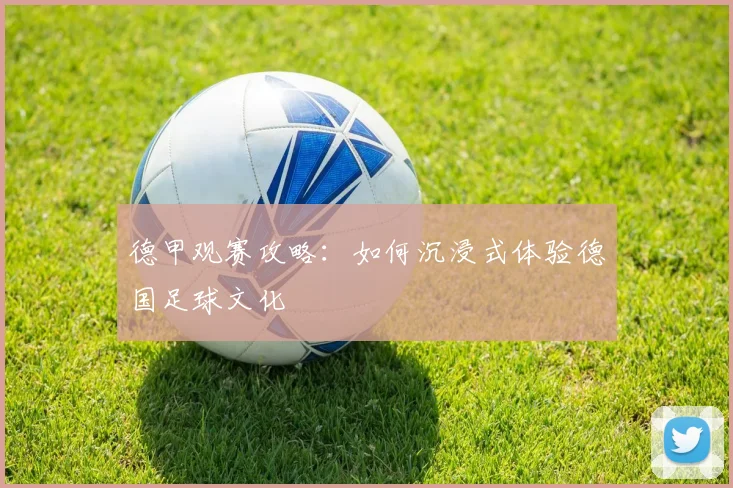 德甲观赛攻略：如何沉浸式体验德国足球文化