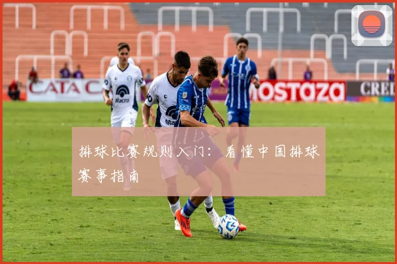 排球比赛规则入门：看懂中国排球赛事指南