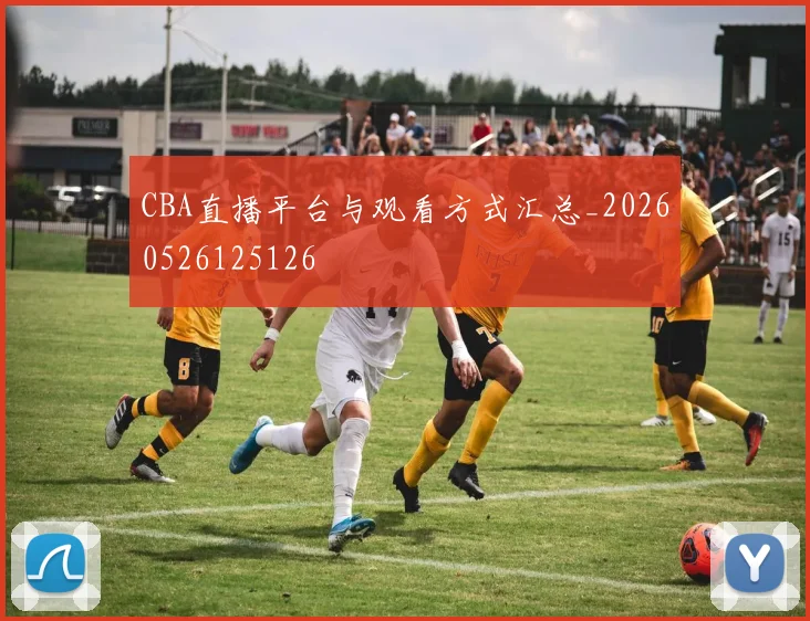 CBA直播平台与观看方式汇总_20260526125126